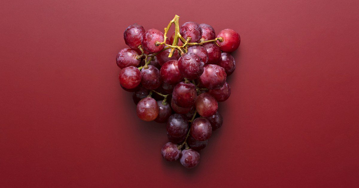 8fce4b42707f3af8998b9a8abbd1d13e