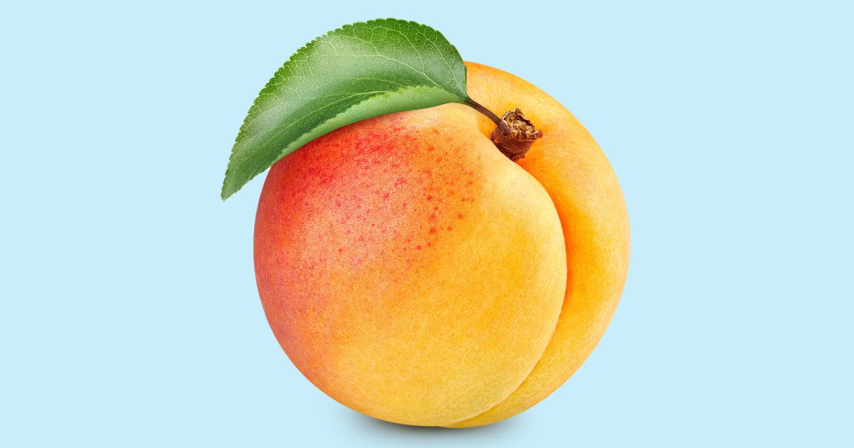 016753523cc5ce0dec9f80963d33efdf